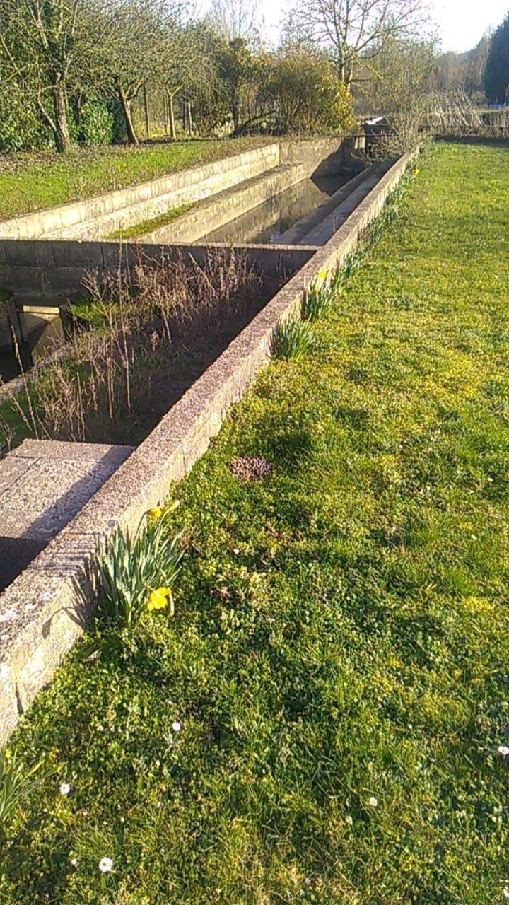 Gite Du Pont De Tancelle Préaux Εξωτερικό φωτογραφία